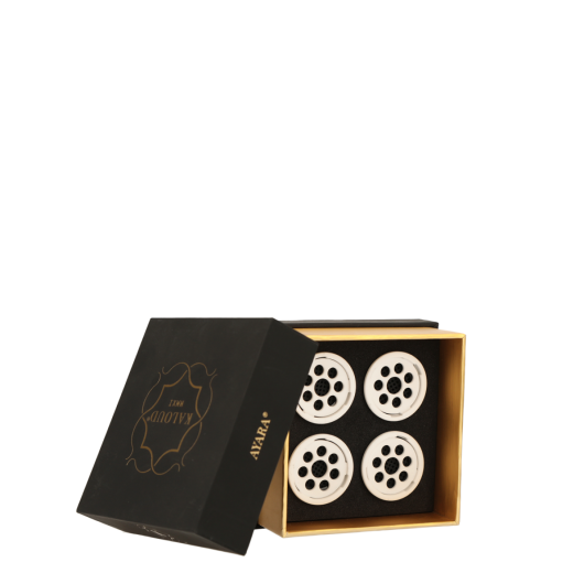 Резервни филтри за Kaloud Ayara (x4)