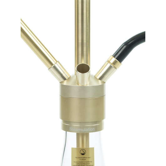 STEAMULATION SUPERIOR ALTIN