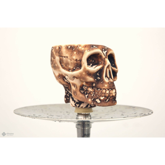 رأس WERKBUND SKULL