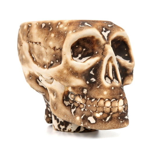 رأس WERKBUND SKULL