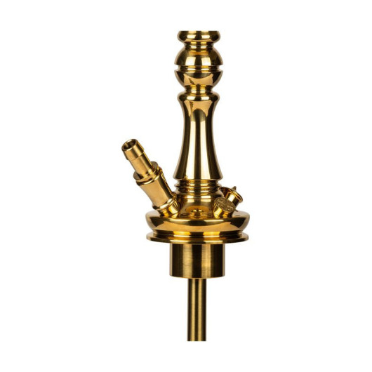 Moze Tradi M Gold Caesar Clear