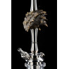 Chicha MAKLAUD DRAGON