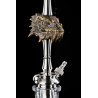 Chicha MAKLAUD DRAGON